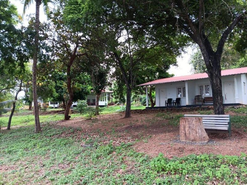 Aligama Cottage Talakolawela Εξωτερικό φωτογραφία