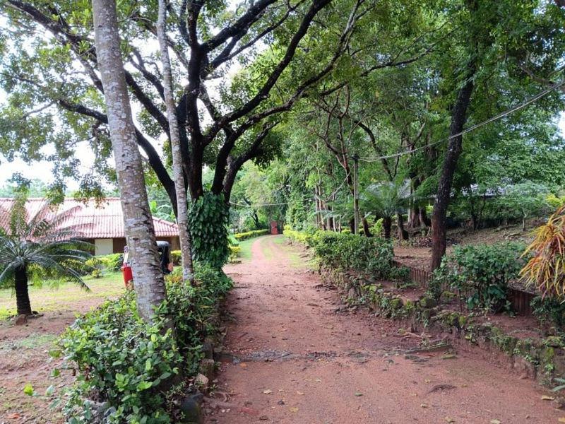 Aligama Cottage Talakolawela Εξωτερικό φωτογραφία